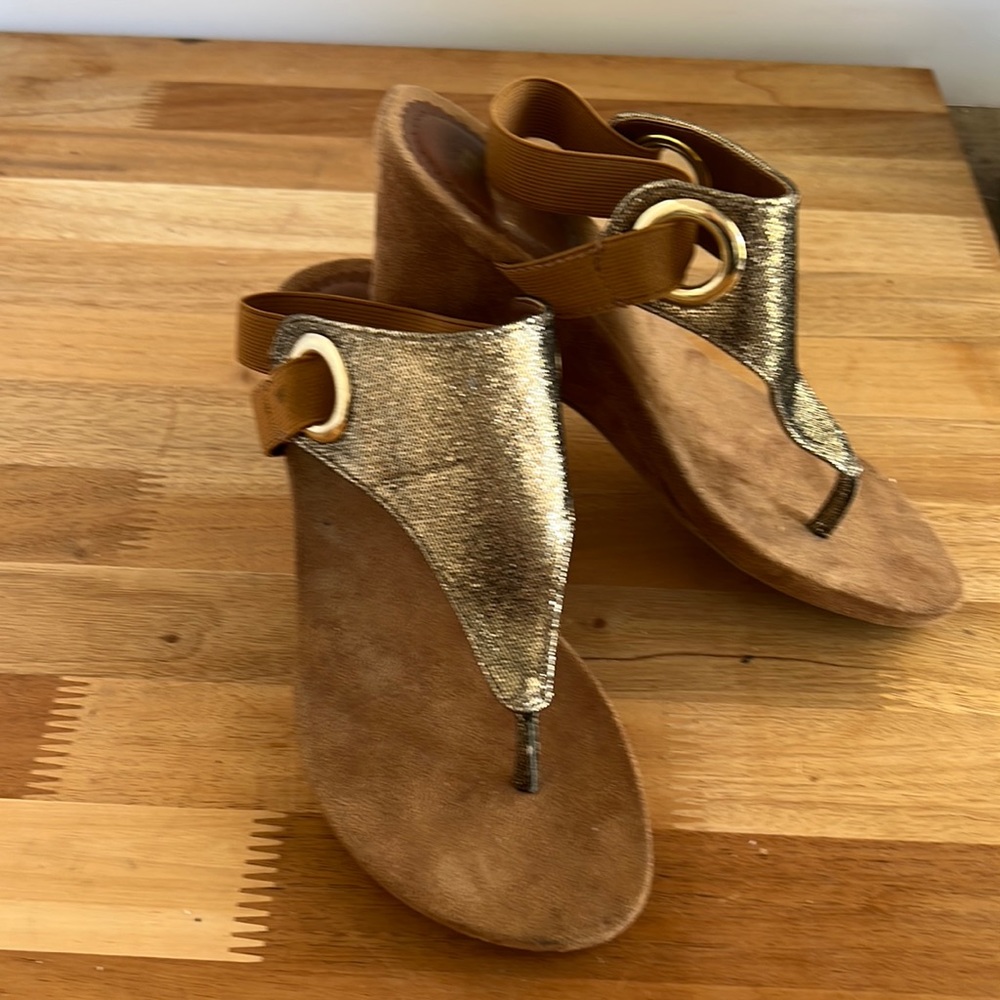 Aida Gold/Glitter wedge sandal